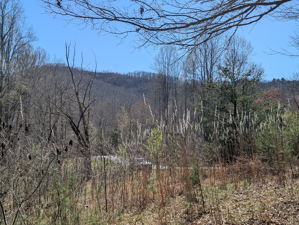 Lot 108 Smokerise Drive - Photo 4