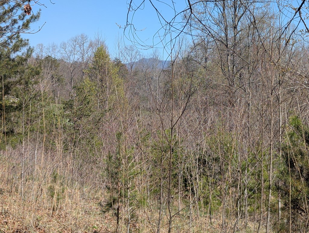 Lot 108 Smokerise Drive - Photo 3