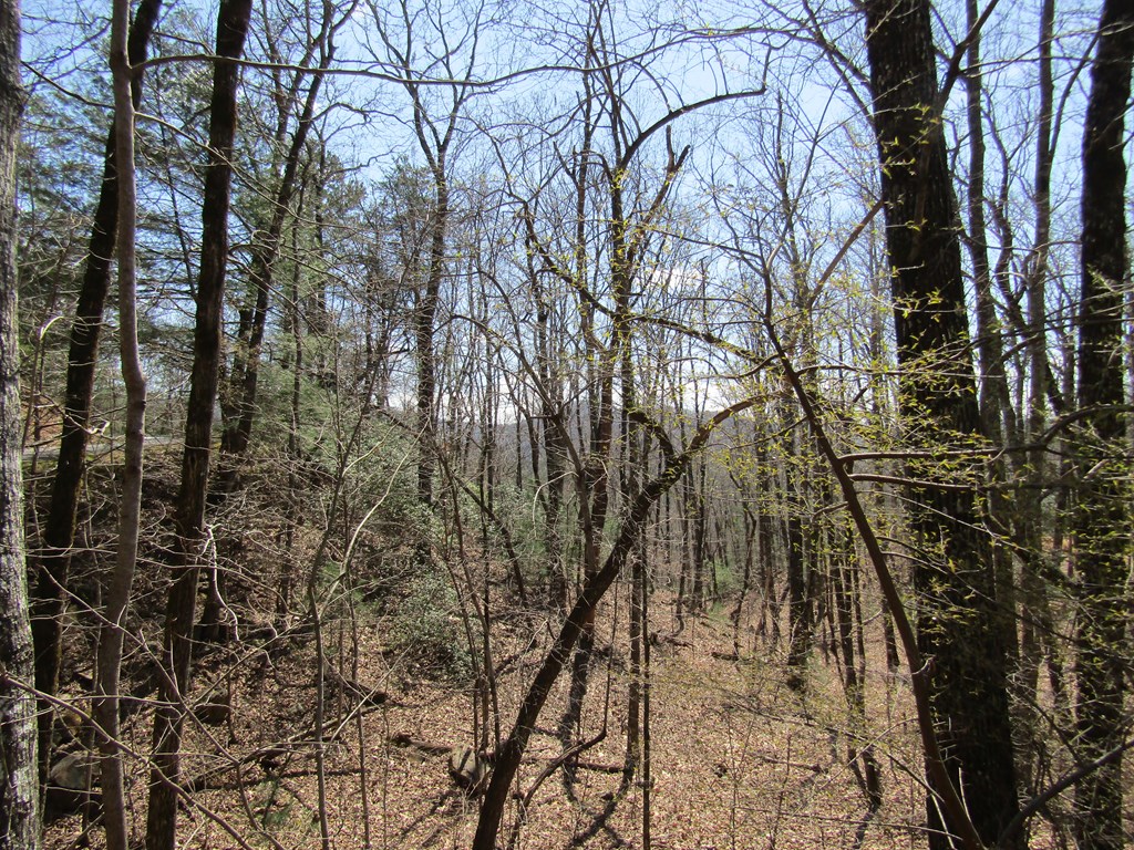 Lot 27 Mission Ridge #27, HAYESVILLE, North Carolina image 3