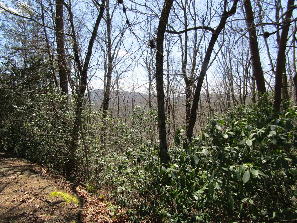 Lot 27 Mission Ridge #27, HAYESVILLE, North Carolina image 1