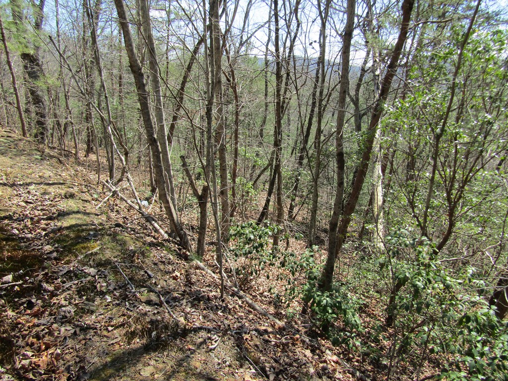 Lot 27 Mission Ridge #27, HAYESVILLE, North Carolina image 5
