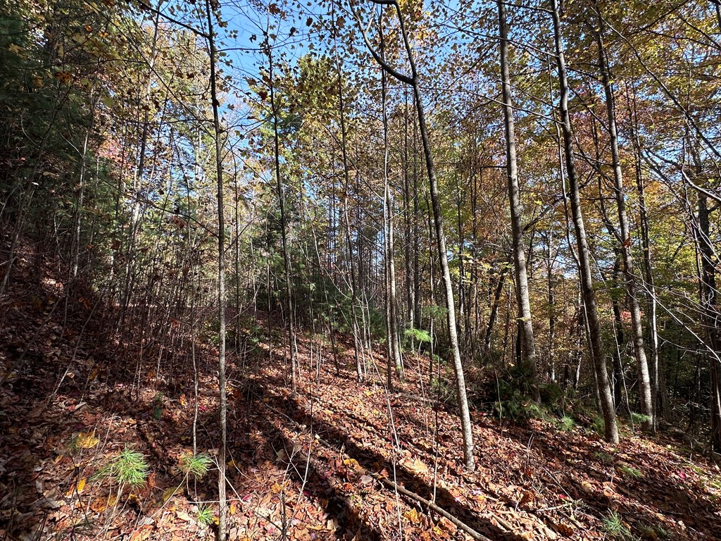 Lot 5&8 Indian Rock Springs Subdivision, MURPHY, North Carolina image 6