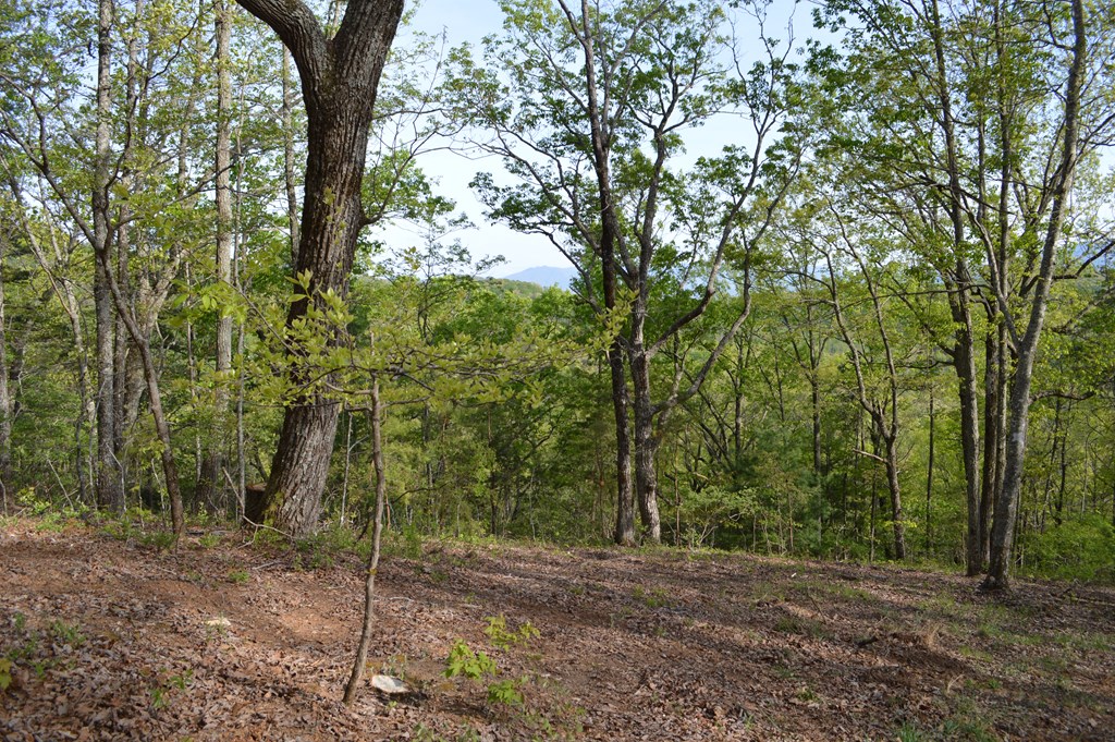 LT 20 North Ridge Trail #20, BRASSTOWN, North Carolina image 2