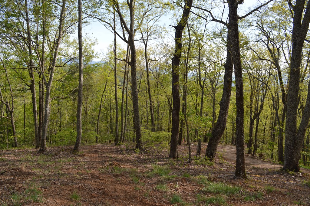 LT 20 North Ridge Trail #20, BRASSTOWN, North Carolina image 4