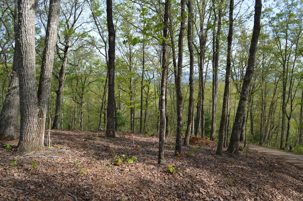 LT 20 North Ridge Trail #20, BRASSTOWN, North Carolina image 1