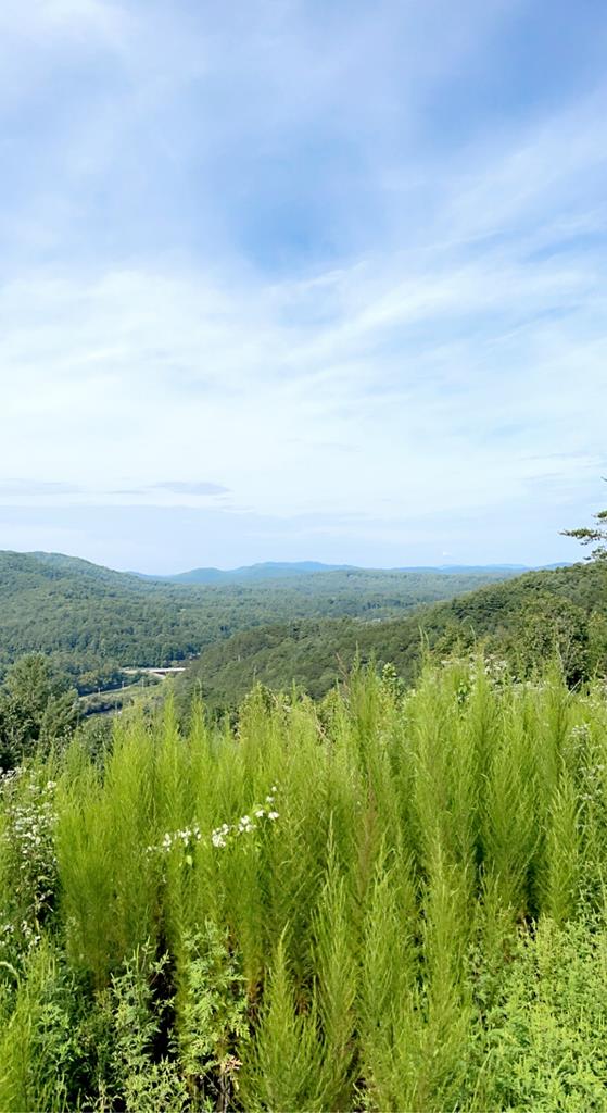 380 Sterling Point #27, MURPHY, North Carolina image 1