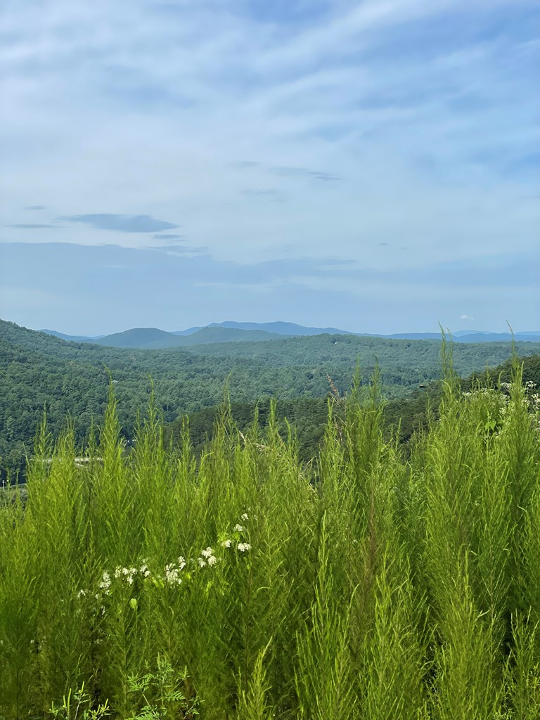 380 Sterling Point #27, MURPHY, North Carolina image 8