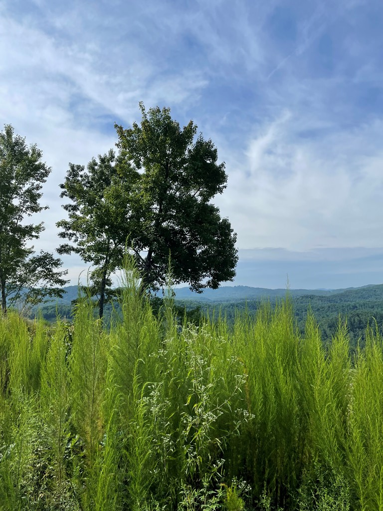 380 Sterling Point #27, MURPHY, North Carolina image 9