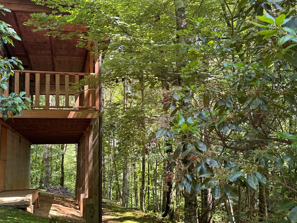 217 Chatto Loop, MURPHY, North Carolina image 13