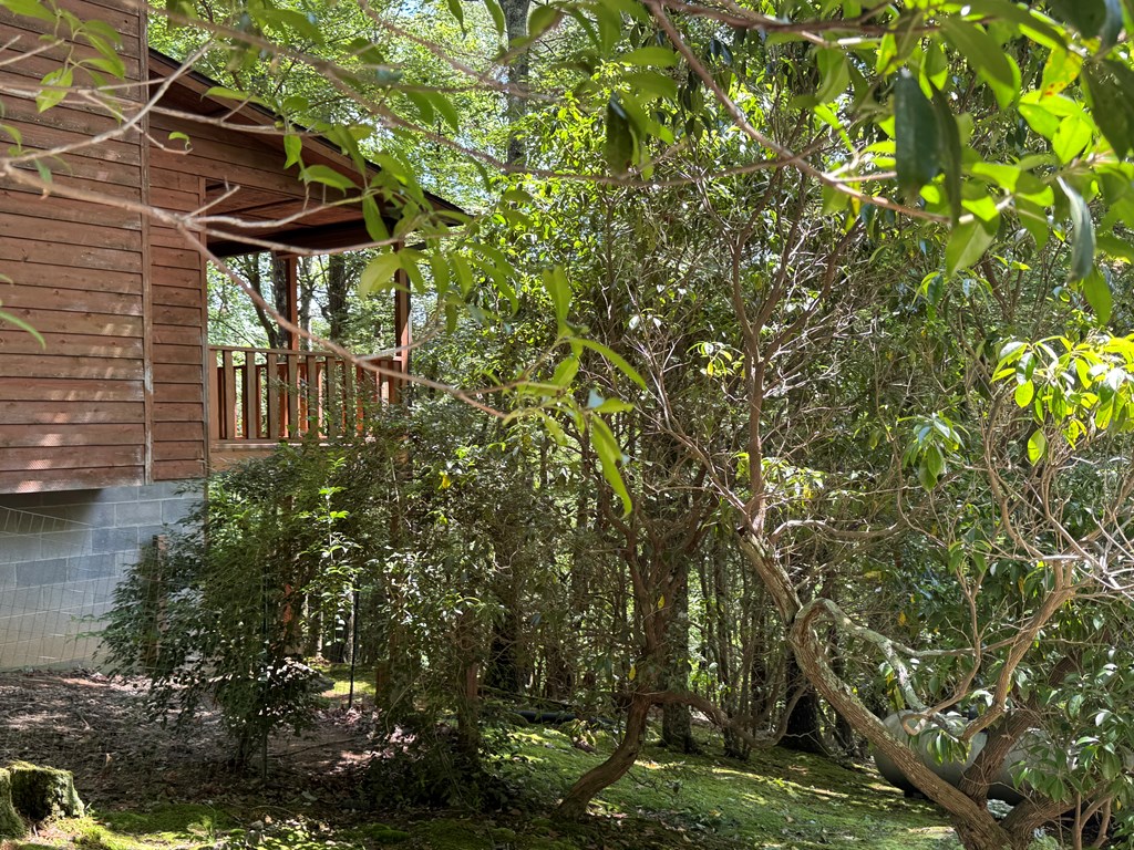 217 Chatto Loop, MURPHY, North Carolina image 12