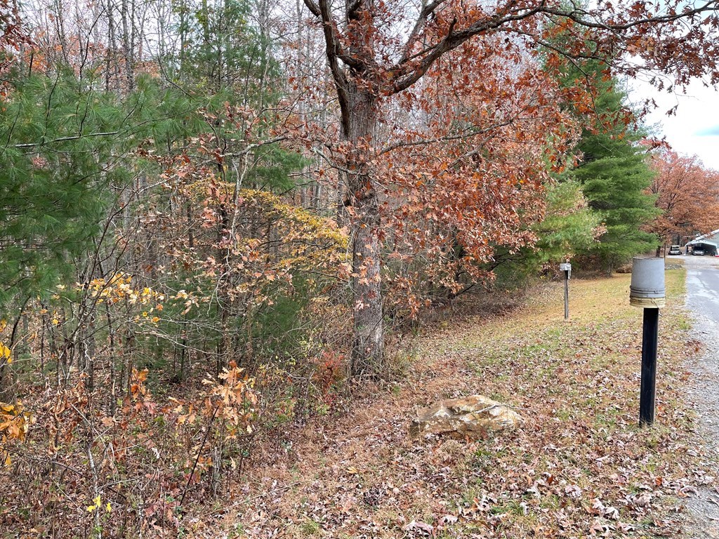 Lot 20 Hamilton Road #21, BLAIRSVILLE, Georgia image 10