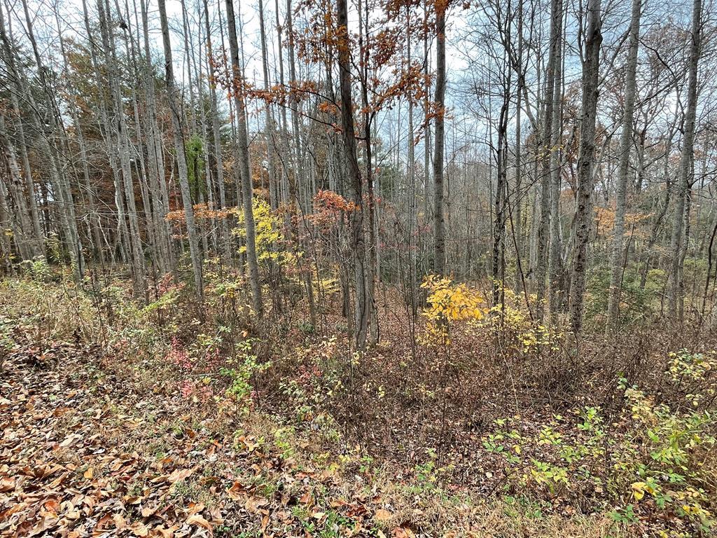 Lot 20 Hamilton Road #21, BLAIRSVILLE, Georgia image 1