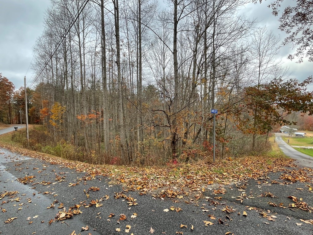 Lot 20 Hamilton Road #21, BLAIRSVILLE, Georgia image 6