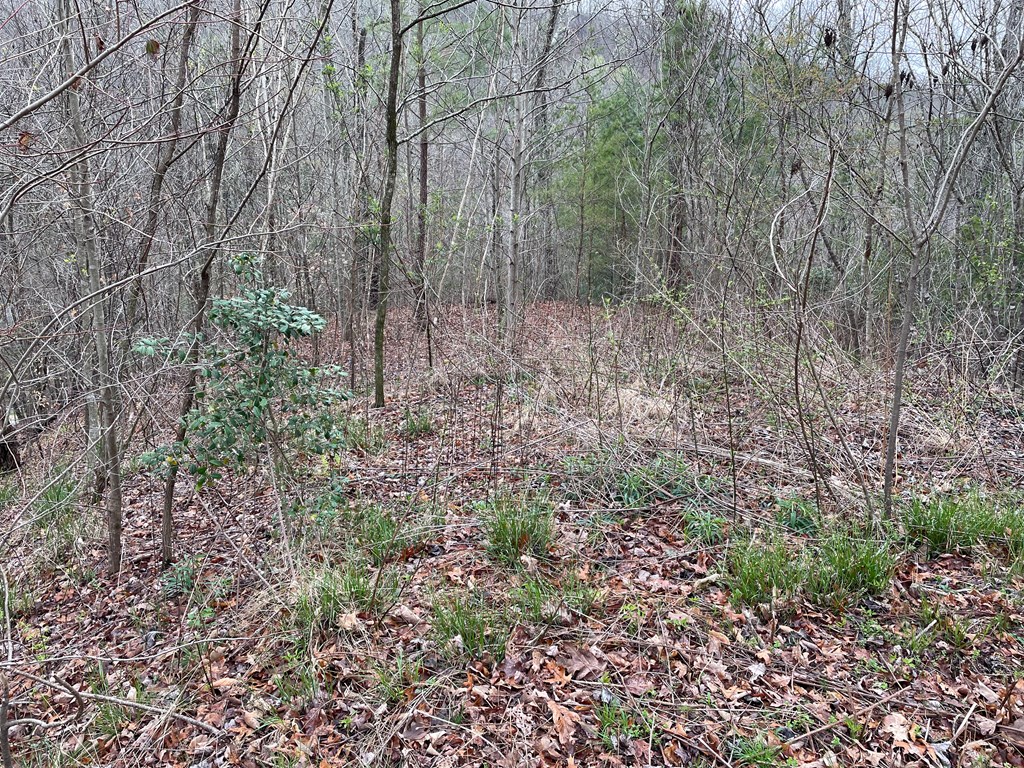 Lot 5 Trillium Heights #5, HAYESVILLE, North Carolina image 13