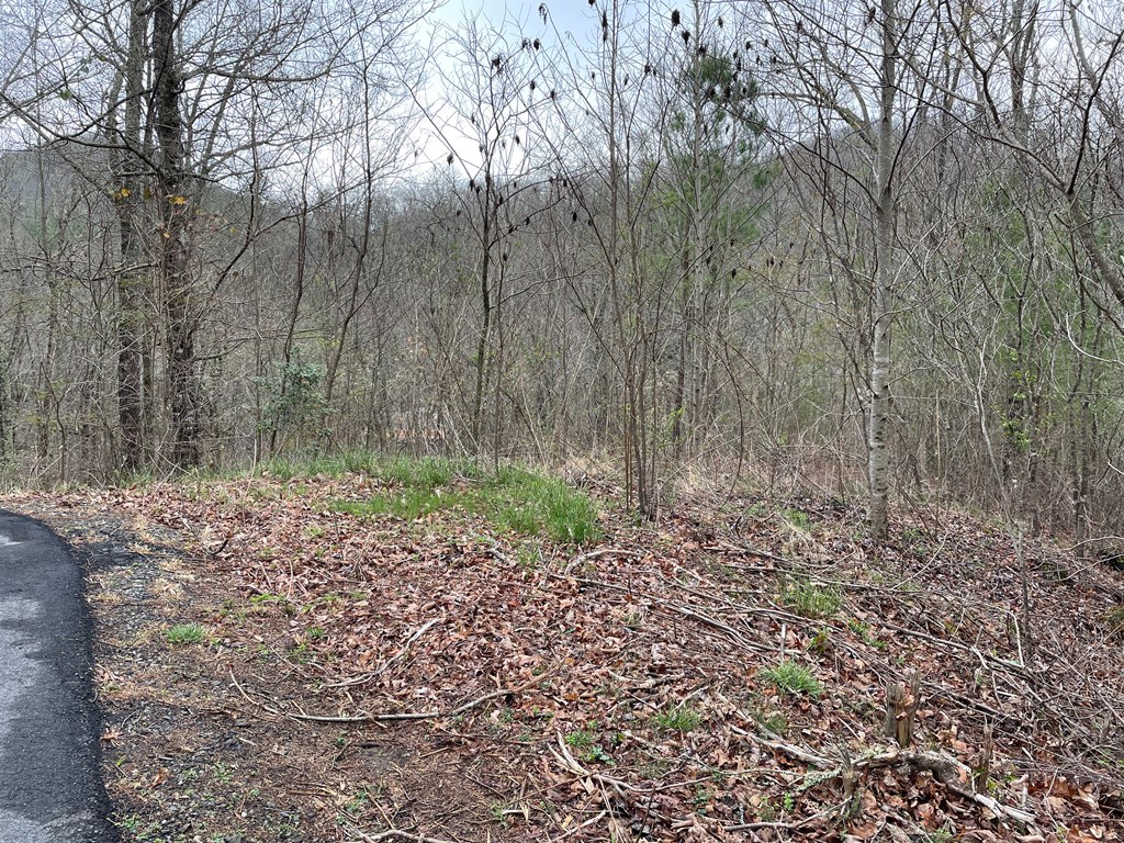 Lot 5 Trillium Heights #5, HAYESVILLE, North Carolina image 3