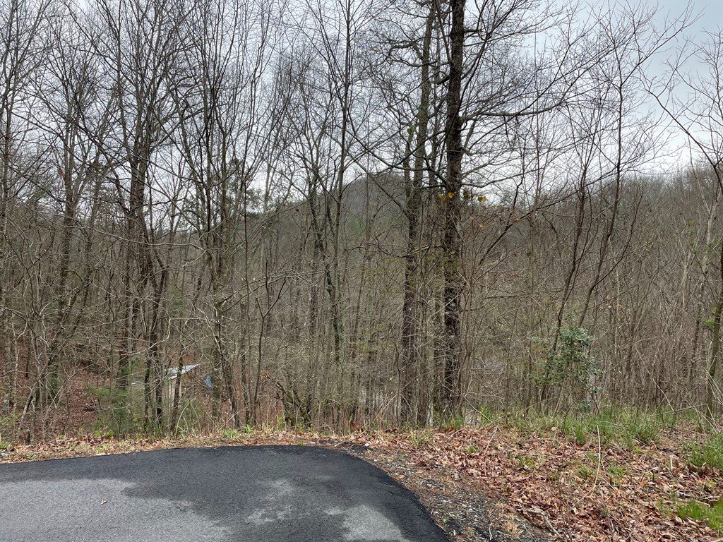 Lot 5 Trillium Heights #5, HAYESVILLE, North Carolina image 4