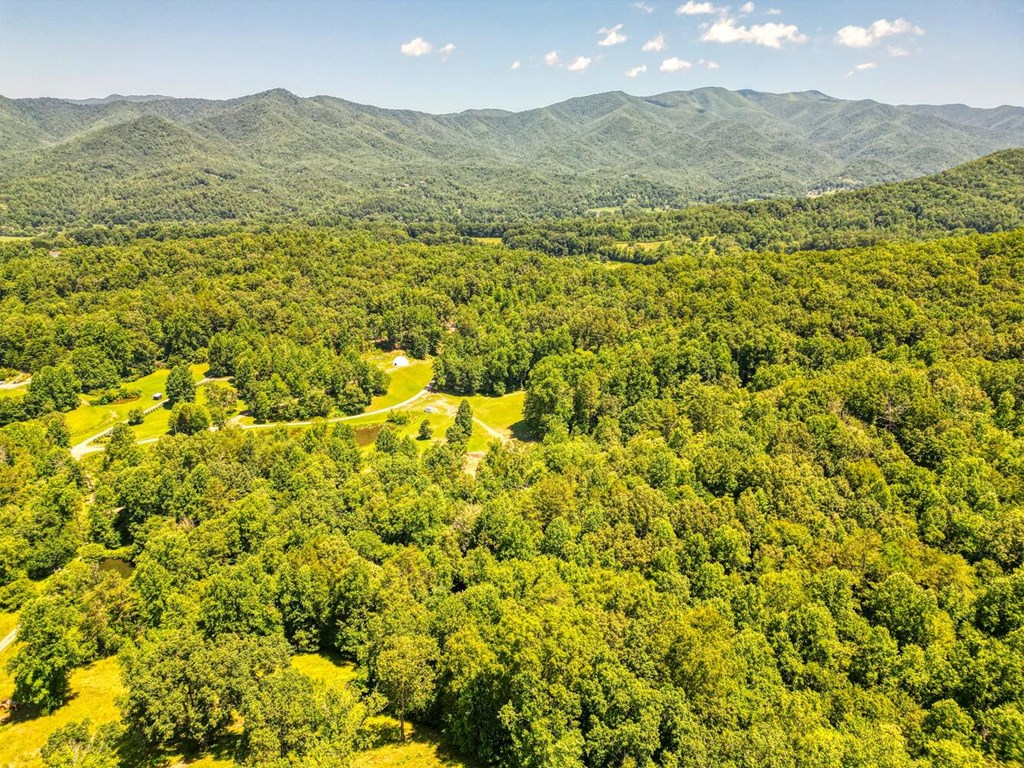 Sawyer Cove Rd, HAYESVILLE, North Carolina image 8