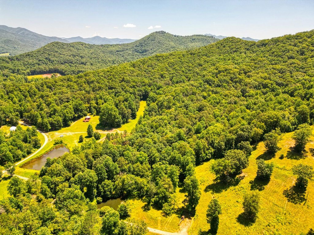 Sawyer Cove Rd, HAYESVILLE, North Carolina image 14