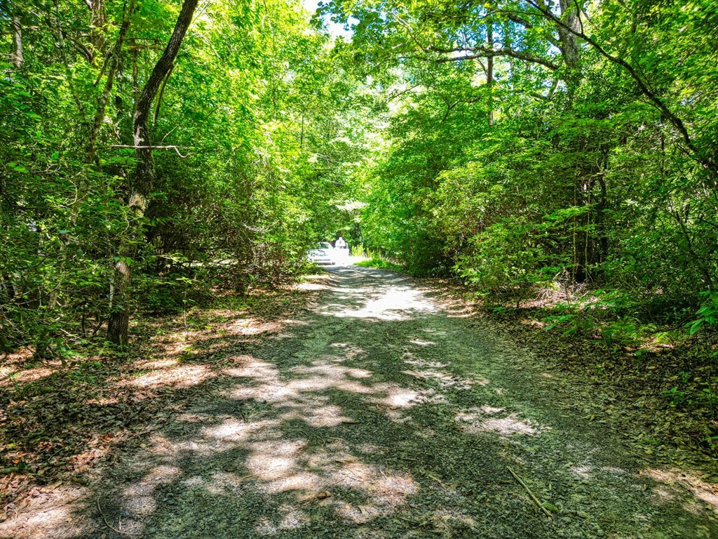 Sawyer Cove Rd, HAYESVILLE, North Carolina image 3