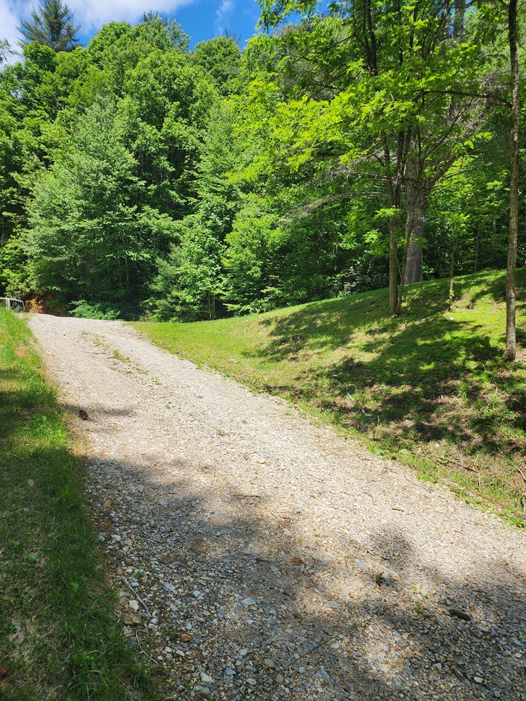 397 Grassy Branch, TOPTON, North Carolina image 4