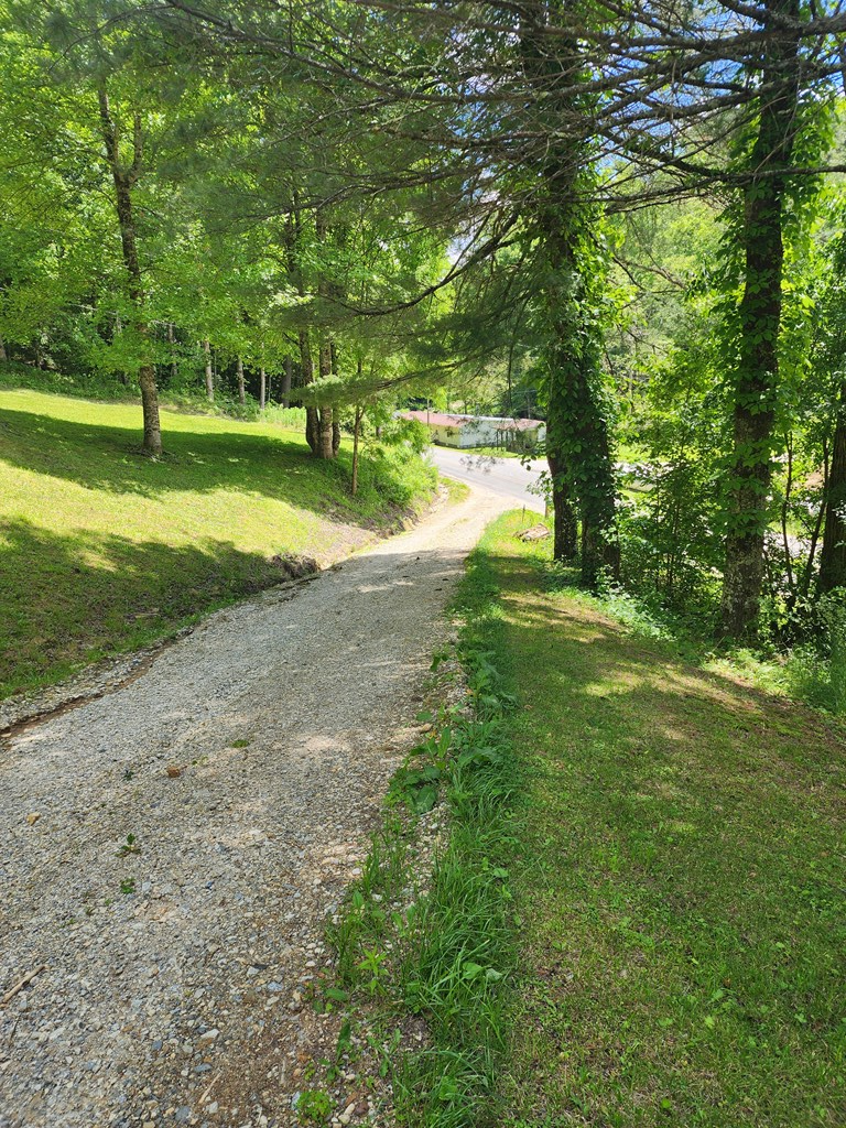 397 Grassy Branch, TOPTON, North Carolina image 3