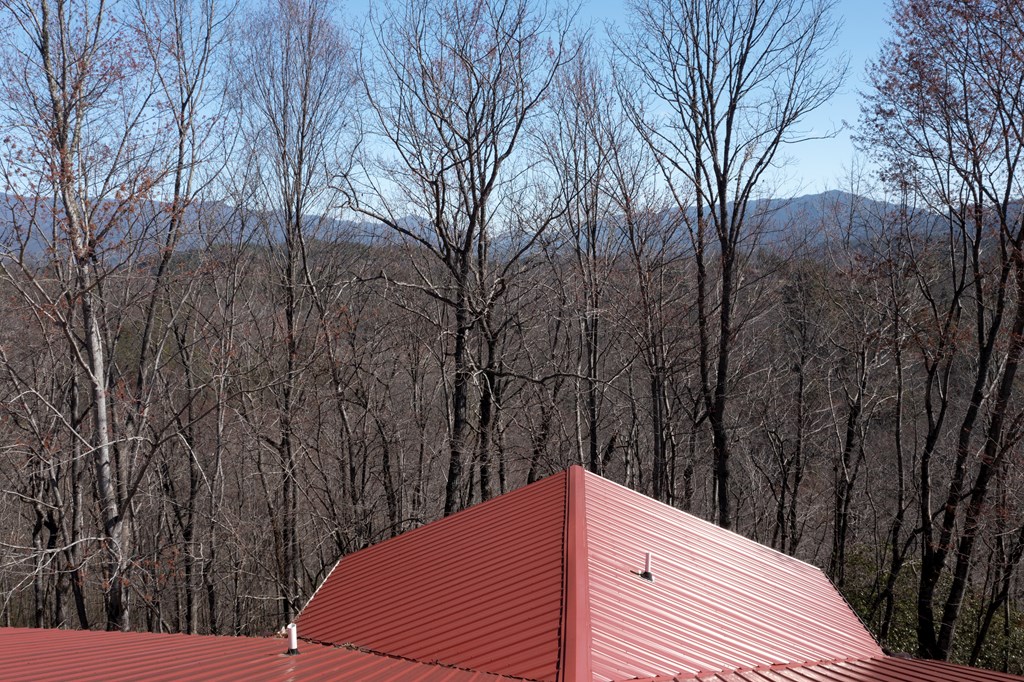 256 Hillside Ln, ANDREWS, North Carolina image 15