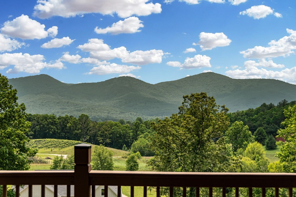 566 Tree Line Drive, BLAIRSVILLE, Georgia image 29
