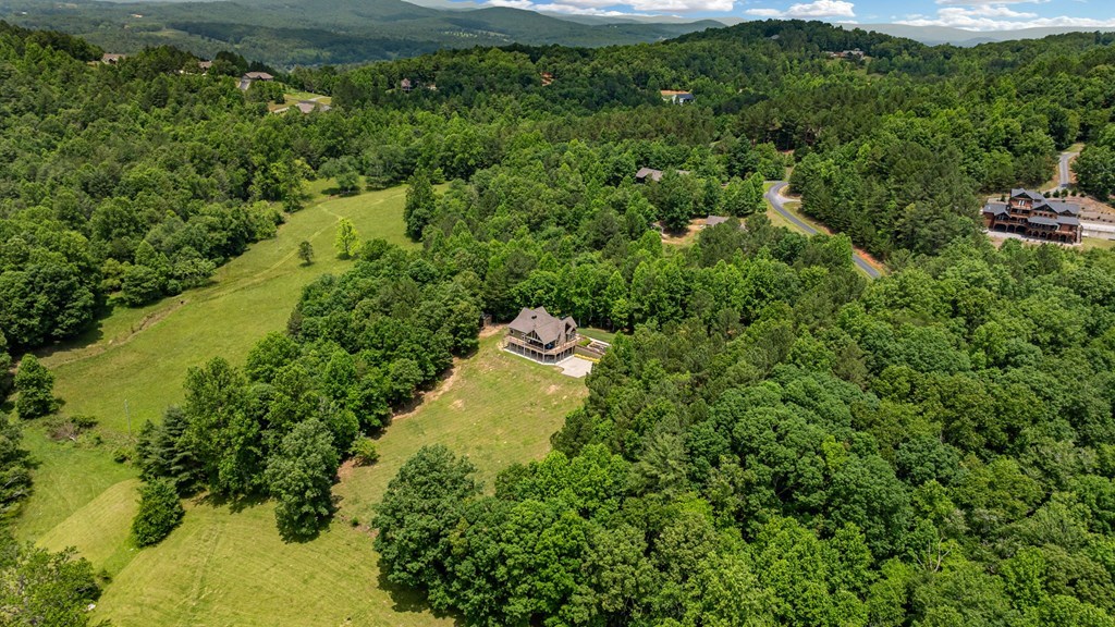 566 Tree Line Drive, BLAIRSVILLE, Georgia image 47