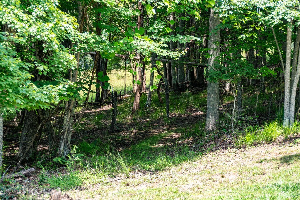 566 Tree Line Drive, BLAIRSVILLE, Georgia image 43
