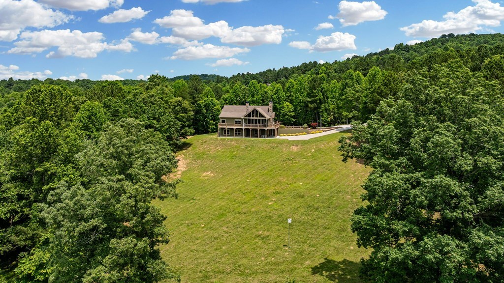 566 Tree Line Drive, BLAIRSVILLE, Georgia image 46