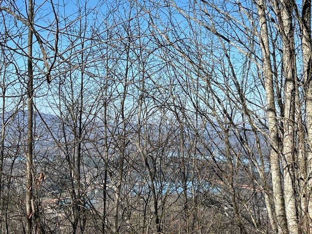 Lot 54 Dan Knob #54, HAYESVILLE, North Carolina image 15