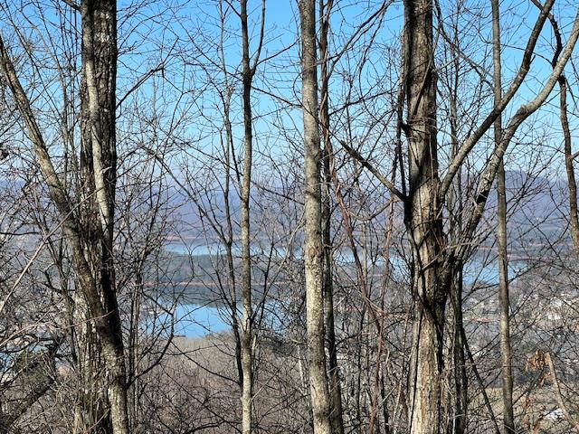 Lot 54 Dan Knob #54, HAYESVILLE, North Carolina image 1