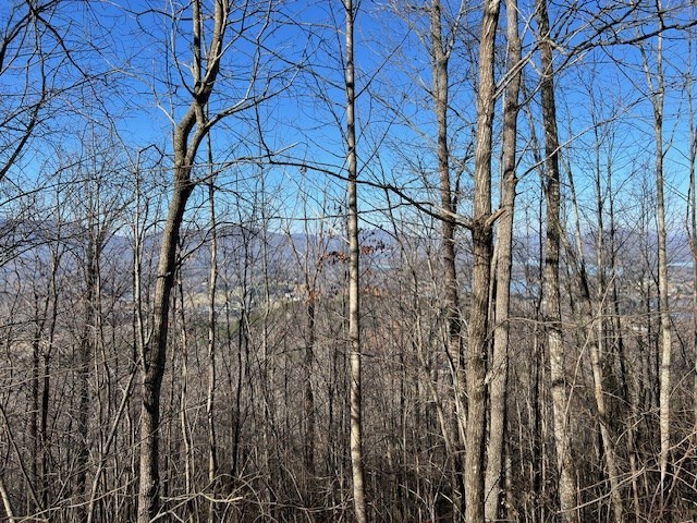 Lot 54 Dan Knob #54, HAYESVILLE, North Carolina image 7