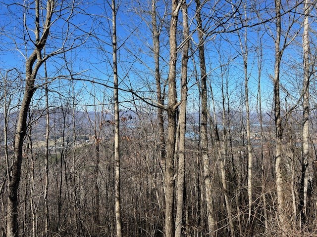 Lot 54 Dan Knob #54, HAYESVILLE, North Carolina image 9