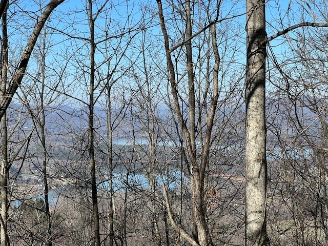Lot 54 Dan Knob #54, HAYESVILLE, North Carolina image 13