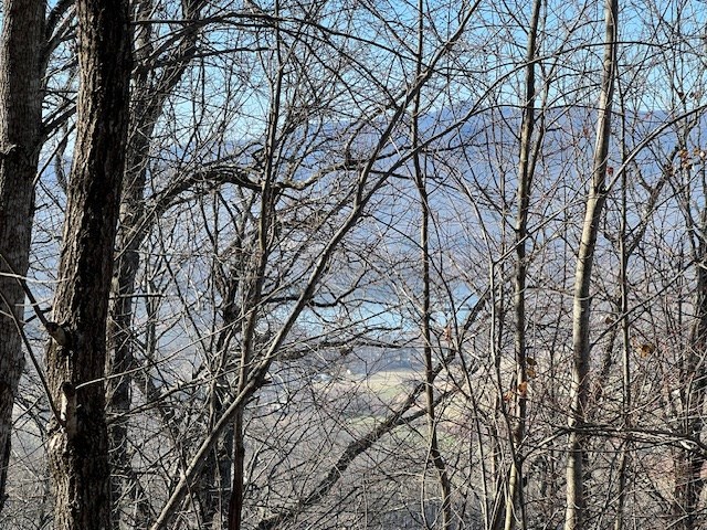 Lot 54 Dan Knob #54, HAYESVILLE, North Carolina image 12