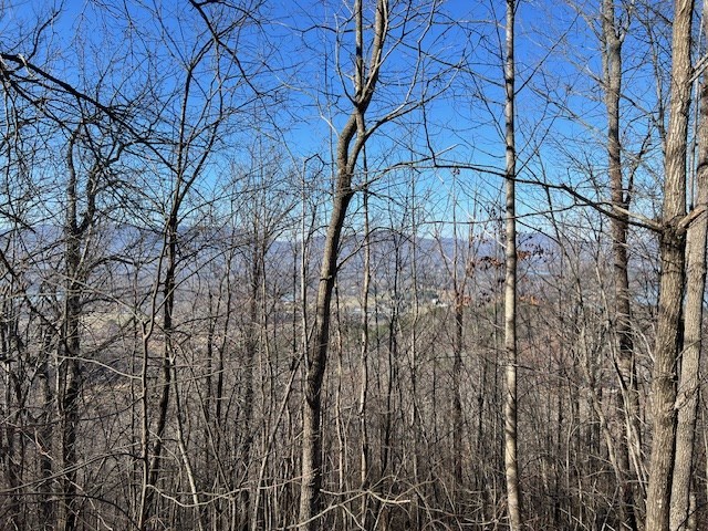 Lot 54 Dan Knob #54, HAYESVILLE, North Carolina image 3