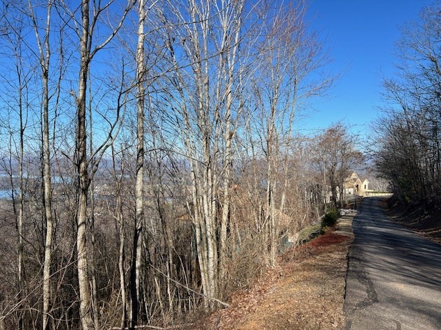 Lot 54 Dan Knob #54, HAYESVILLE, North Carolina image 10