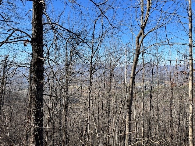 Lot 54 Dan Knob #54, HAYESVILLE, North Carolina image 2
