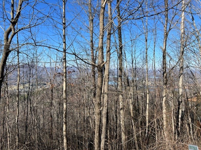 Lot 54 Dan Knob #54, HAYESVILLE, North Carolina image 8