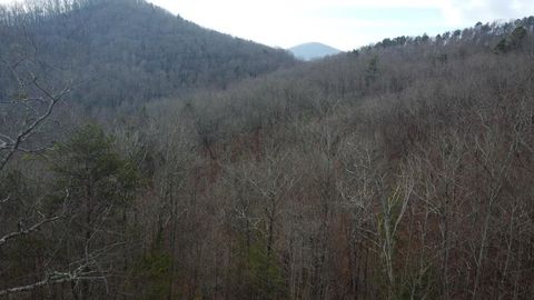 Vacant Land For Sale - 300 Jernigan Court #48<br/> MURPHY, NC 28906