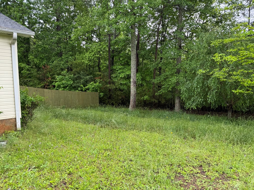 106 Copper Hill Church Lane, WARNE, North Carolina image 22