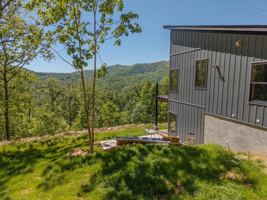 58 Mutt Ridge - Photo 3