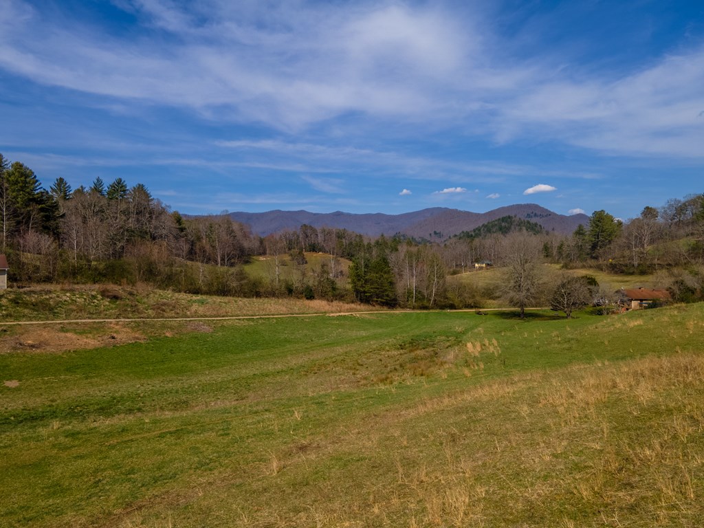 34 Leonard Davis Road, ROBBINSVILLE, North Carolina image 31