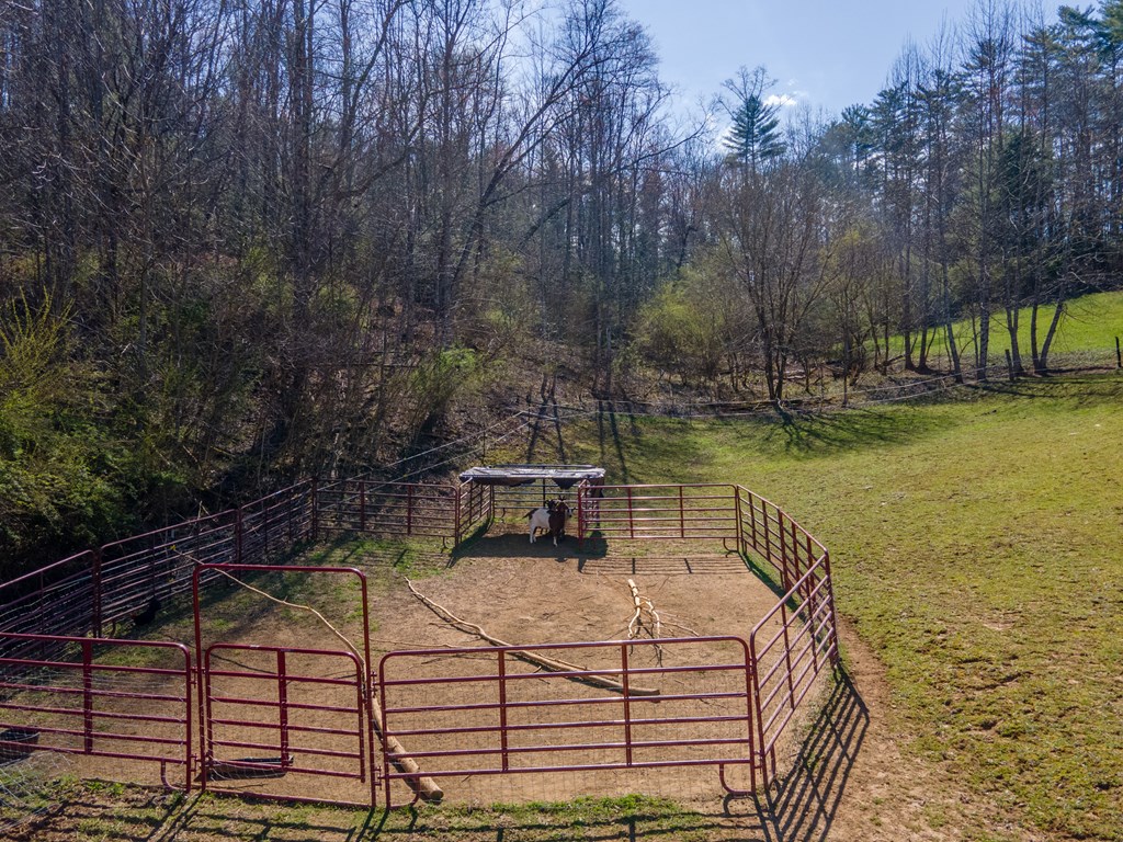 34 Leonard Davis Road, ROBBINSVILLE, North Carolina image 35