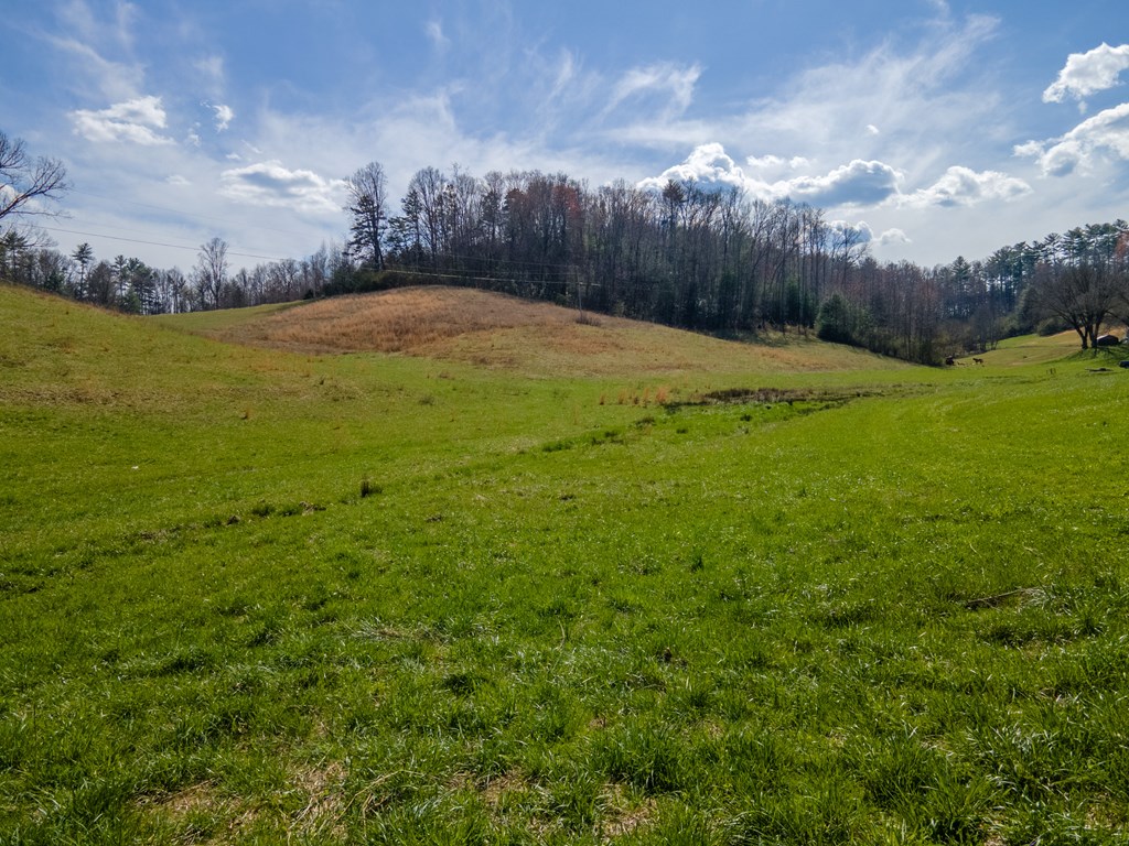 34 Leonard Davis Road, ROBBINSVILLE, North Carolina image 5