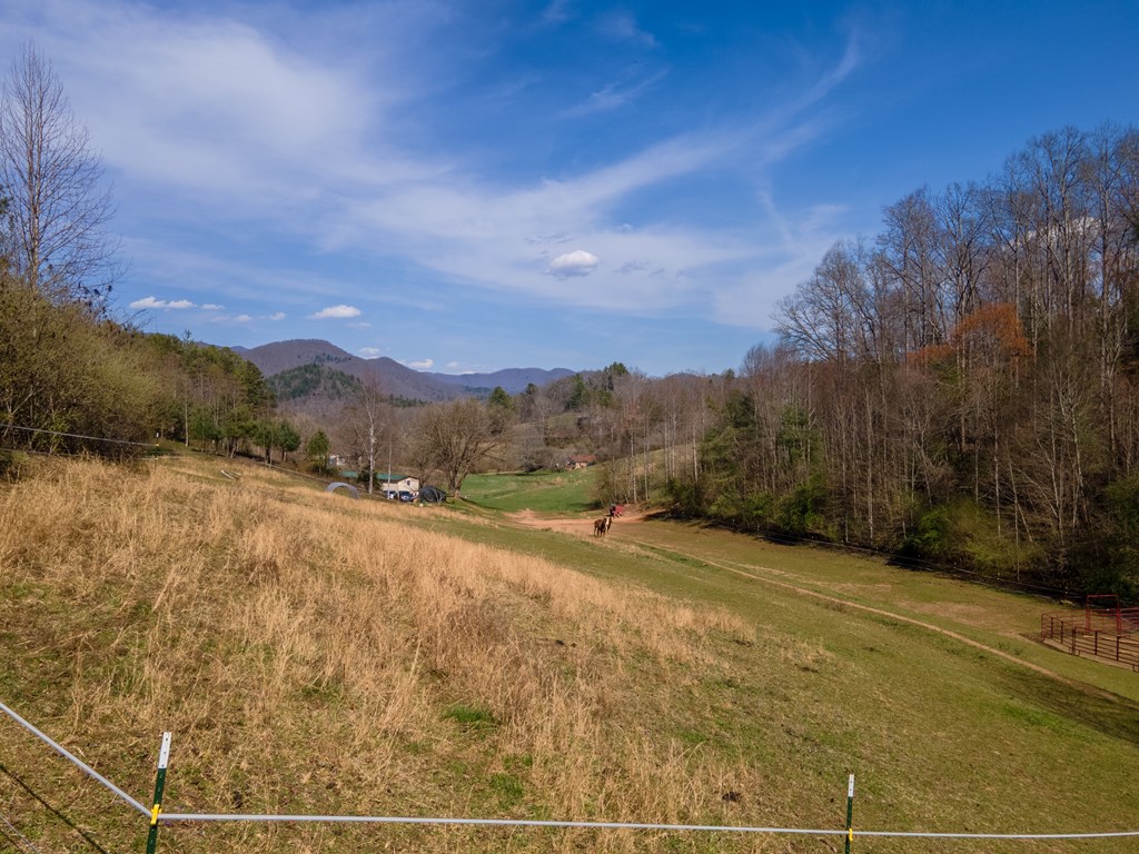 34 Leonard Davis Road, ROBBINSVILLE, North Carolina image 36