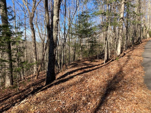 Vacant Land For Sale - LOT 31 High Ridge Road #31<br/> MURPHY, NC 28906