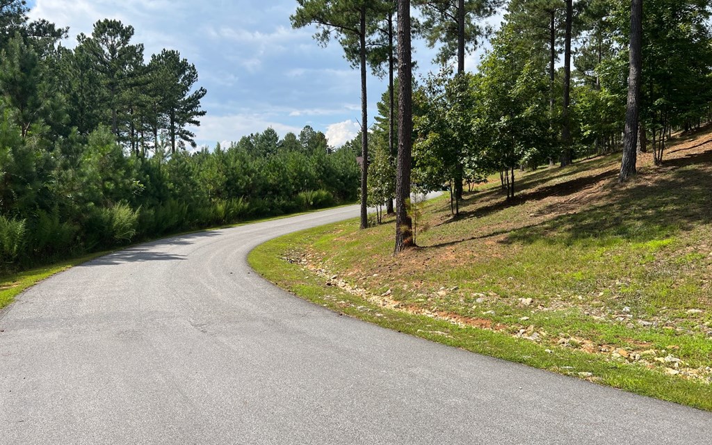 Lot 267 The Cove At Thirteen Hundred #267, BLAIRSVILLE, Georgia image 23