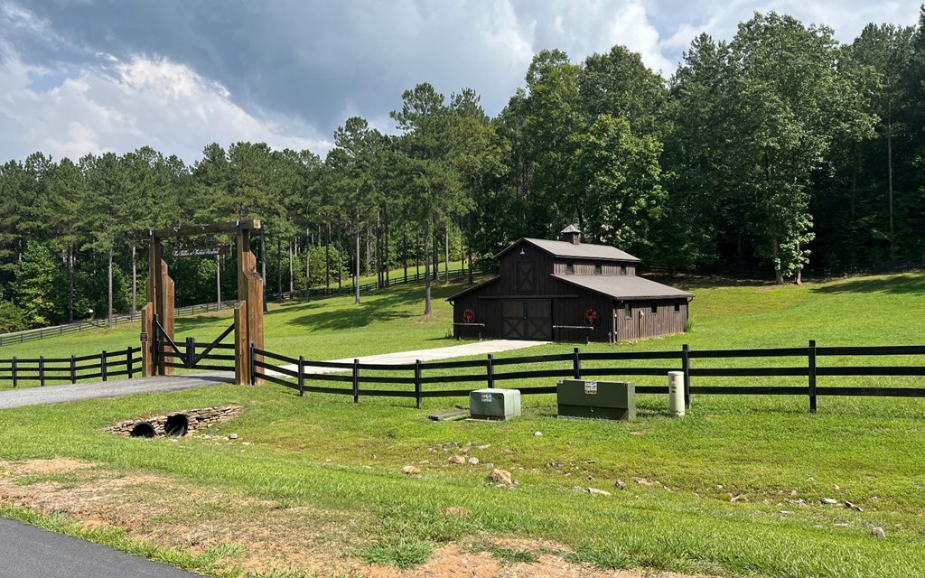 Lot 267 The Cove At Thirteen Hundred #267, BLAIRSVILLE, Georgia image 8